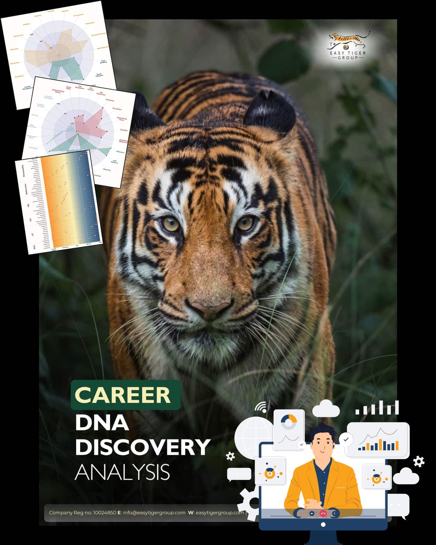 Career DNA Discovery™ Analysis with example report charts showing professional-development patterns and insights.